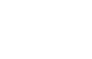 Conexão 085